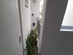 Casa para Venda em São Paulo - 5
